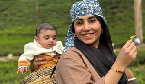 Pakistani woman with her baby in basket at a tea plantation in Nuwara Eliya, Sri Lanka