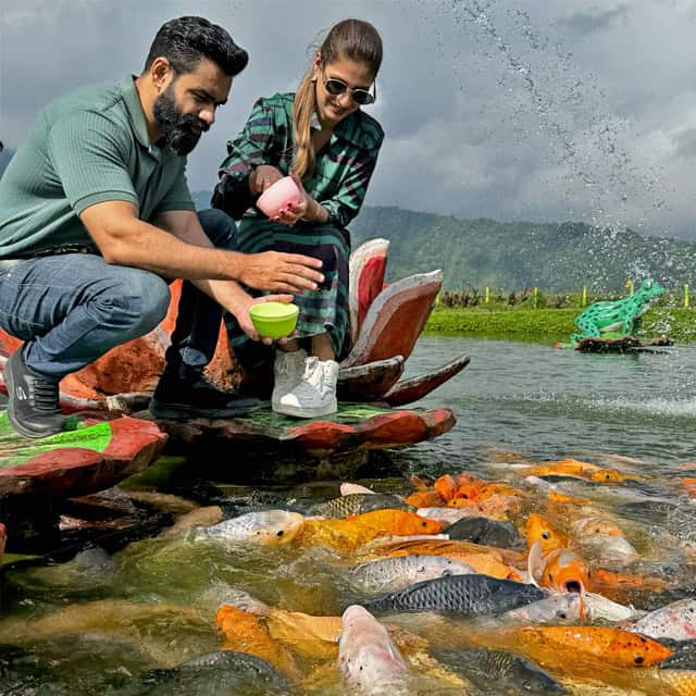 Pakistani couple feeding the fish at Ulun Danu Beratan Temple in Bali group tour by Tales of Time Travel