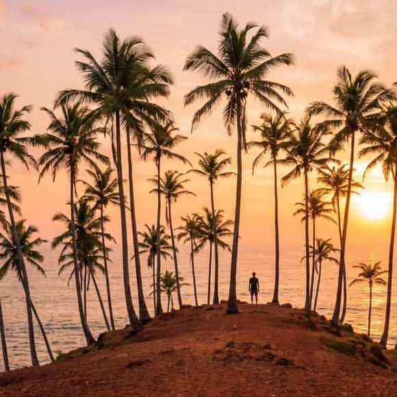 Galle & Mirissa — the south coast