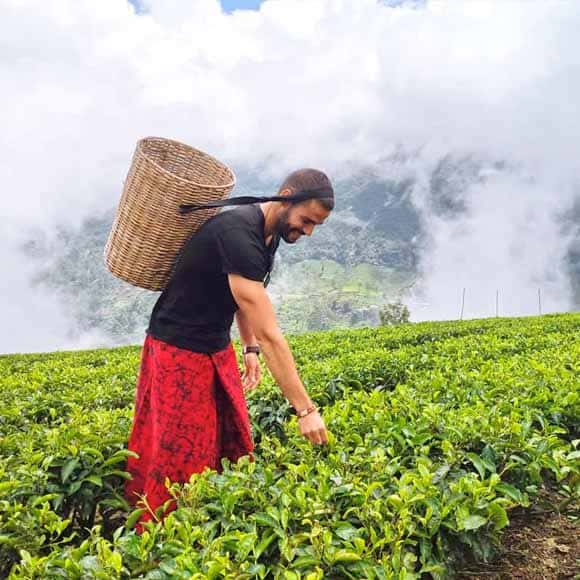 Kandy to Nuwara Eliya — tea country
